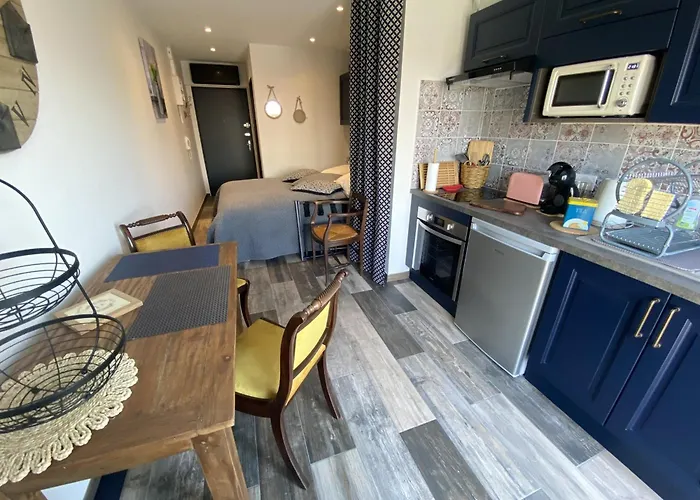 Appartement Rénové Avec Clim Et Wifi Au Port De L'aiguillon Pour 2 - Fr-1-474-214 Arcachon