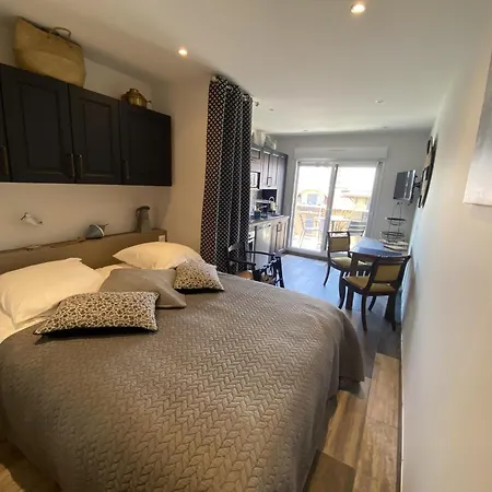 Renove Avec Clim Et Wifi Au Port De L'aiguillon Pour 2 - Fr-1-474-214 Апартаменты Аркашон