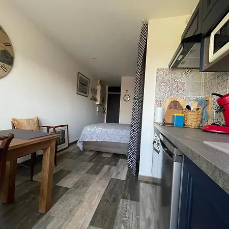 شقة Renove Avec Clim Et Wifi Au Port De L'aiguillon Pour 2 - Fr-1-474-214 *