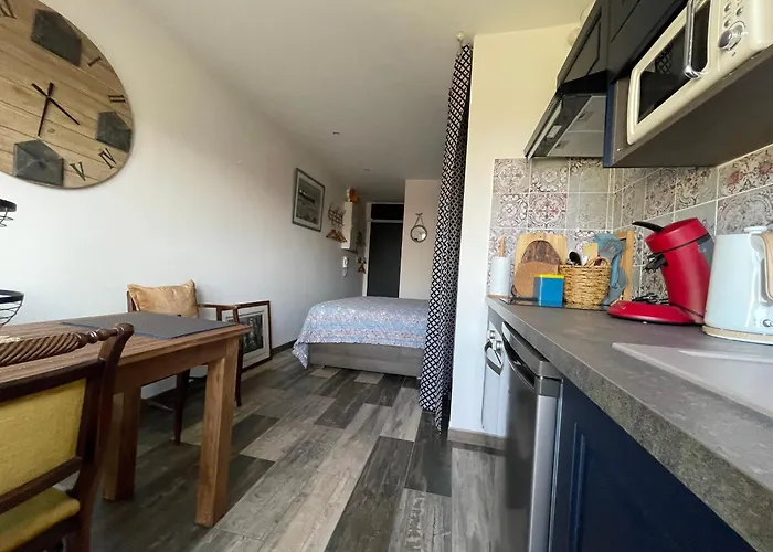 Apartment Renove Avec Clim Et Wifi Au Port De L'aiguillon Pour 2 - Fr-1-474-214 *